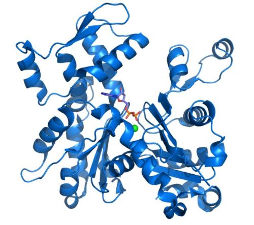 抑制AL淀粉樣的錯誤蛋白質(zhì)的分子指向新型療法