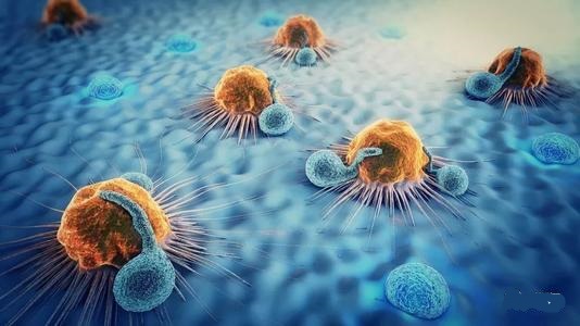 細(xì)胞劊子手的生物機(jī)制產(chǎn)生了其控制的秘密