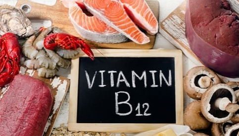 素食者面臨維生素B12缺乏風險的研究