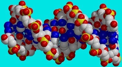 歌德大學(xué)的研究人員開發(fā)了新的蛋白質(zhì)組學(xué)程序