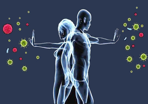 第一印象在免疫系統(tǒng)中有很長的路要走