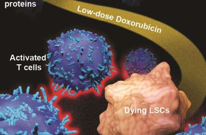 研究人員重新利用經(jīng)典的化療藥物來克服對(duì)癌癥治療的抵抗