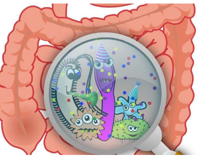 腸道中的微生物可以防止有害的輻射暴露