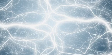 當(dāng)涉及到大腦連通性時細胞位置最重要