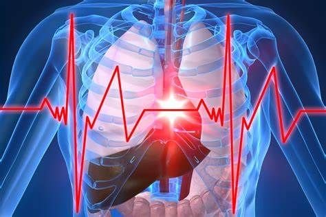 生活方式的改變可降低心臟病發(fā)作的風險