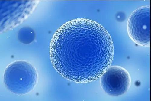 細胞信號傳導(dǎo)的突破為研究開辟了新途徑