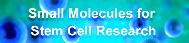 在干細胞研究中使用小分子的五個理由