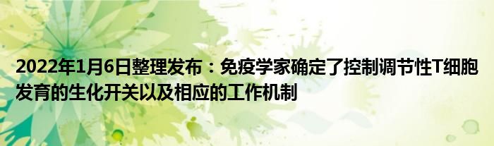 2022年1月6日整理發(fā)布：免疫學家確定了控制調(diào)節(jié)性T細胞發(fā)育的生化開關以及相應的工作機制