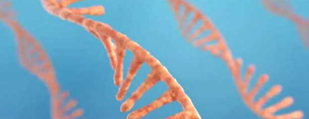 應(yīng)對(duì)壓力產(chǎn)生的分子可能是各種疾病的指標(biāo)