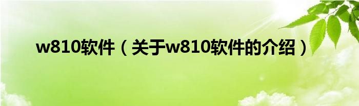 w810軟件（關(guān)于w810軟件的介紹）