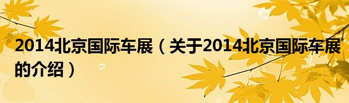 2014北京國際車展（關(guān)于2014北京國際車展的介紹）