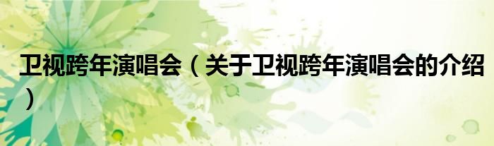 衛(wèi)視跨年演唱會(huì)（關(guān)于衛(wèi)視跨年演唱會(huì)的介紹）