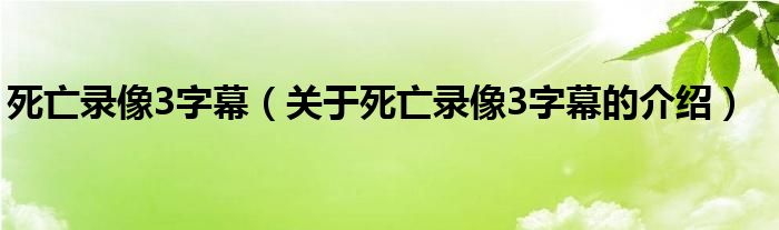 死亡錄像3字幕（關(guān)于死亡錄像3字幕的介紹）