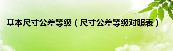 基本尺寸公差等級（尺寸公差等級對照表）