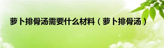 蘿卜排骨湯需要什么材料（蘿卜排骨湯）