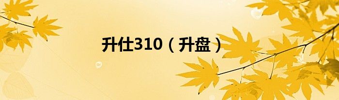 升仕310（升盤）