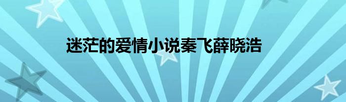 迷茫的愛情小說秦飛薛曉浩