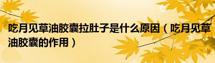 吃月見草油膠囊拉肚子是什么原因（吃月見草油膠囊的作用）