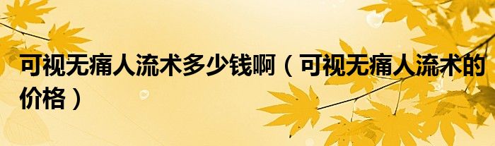 可視無痛人流術多少錢?。梢暉o痛人流術的價格）