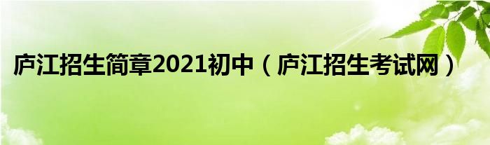 廬江招生簡章2021初中（廬江招生考試網(wǎng)）