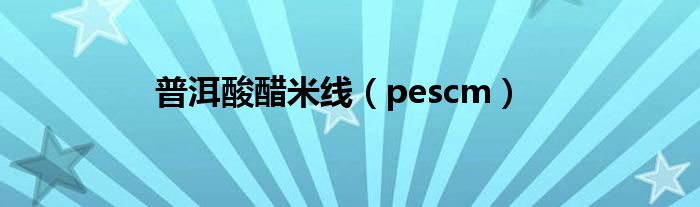 普洱酸醋米線(xiàn)（pescm）