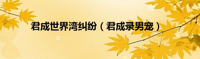 君成世界灣糾紛（君成錄男寵）