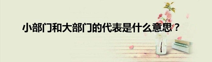 小部門和大部門的代表是什么意思？
