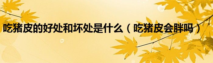 吃豬皮的好處和壞處是什么（吃豬皮會(huì)胖嗎）