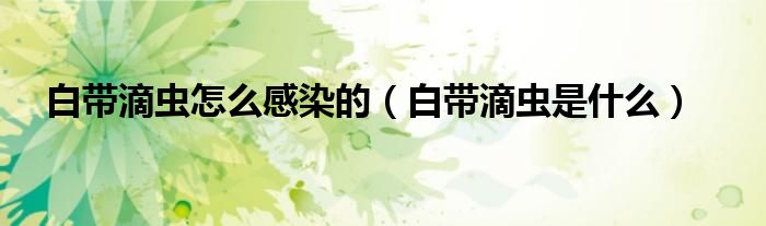 白帶滴蟲怎么感染的（白帶滴蟲是什么）