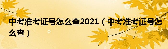 中考準(zhǔn)考證號怎么查2021（中考準(zhǔn)考證號怎么查）