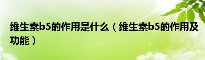維生素b5的作用是什么（維生素b5的作用及功能）