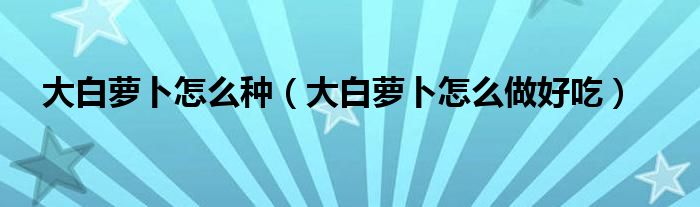 大白蘿卜怎么種（大白蘿卜怎么做好吃）