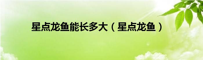 星點龍魚能長多大（星點龍魚）