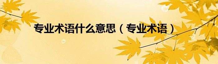 專業(yè)術語什么意思（專業(yè)術語）