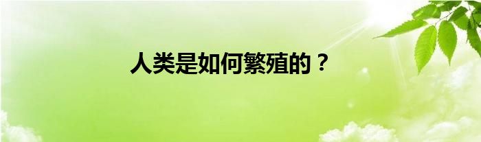 人類是如何繁殖的？