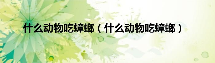 什么動物吃蟑螂（什么動物吃蟑螂）