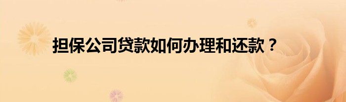 擔保公司貸款如何辦理和還款？