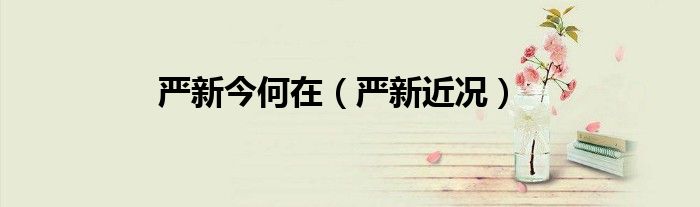 嚴新今何在（嚴新近況）