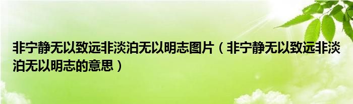 非寧靜無以致遠非淡泊無以明志圖片(非寧靜無以致遠非淡泊無以明志的意思)