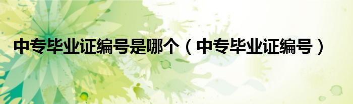 中專畢業(yè)證編號是哪個（中專畢業(yè)證編號）