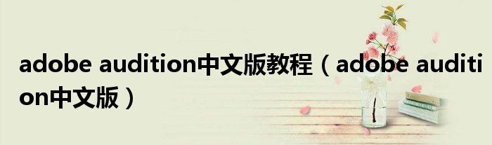 adobe audition中文版教程（adobe audition中文版）
