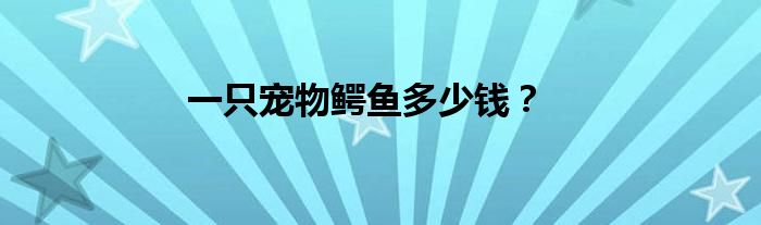 一只寵物鱷魚多少錢？