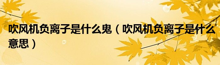 吹風(fēng)機(jī)負(fù)離子是什么鬼（吹風(fēng)機(jī)負(fù)離子是什么意思）
