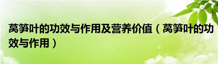 萵筍葉的功效與作用及營養(yǎng)價值（萵筍葉的功效與作用）