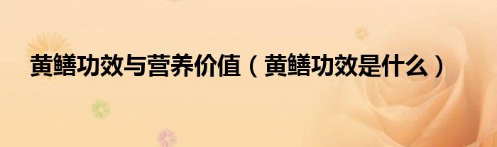 黃鱔功效與營養(yǎng)價值（黃鱔功效是什么）