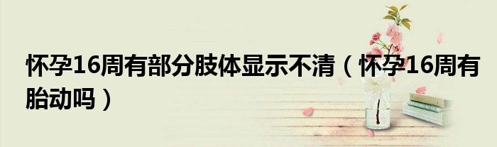 懷孕16周有部分肢體顯示不清（懷孕16周有胎動嗎）