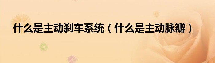 什么是主動(dòng)剎車(chē)系統(tǒng)（什么是主動(dòng)脈瓣）