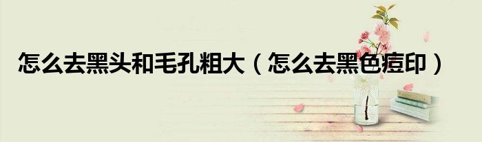 怎么去黑頭和毛孔粗大（怎么去黑色痘?。?class='thumb lazy' /></a>
		    <header>
		<h2><a  href=