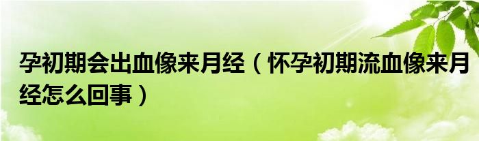 孕初期會(huì)出血像來(lái)月經(jīng)（懷孕初期流血像來(lái)月經(jīng)怎么回事）