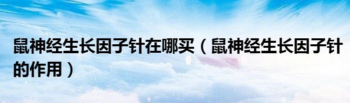 鼠神經(jīng)生長因子針在哪買（鼠神經(jīng)生長因子針的作用）